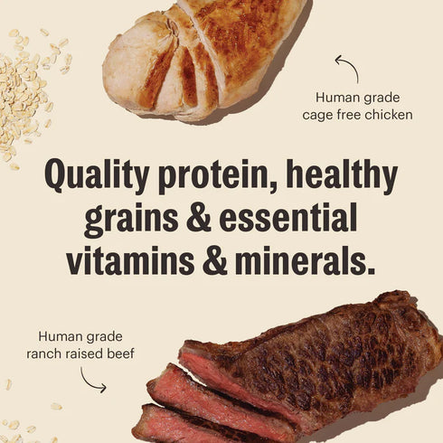 The Honest Kitchen Whole Grain Clusters Dry Dog Food - Chicken & Beef - 5lb Bag